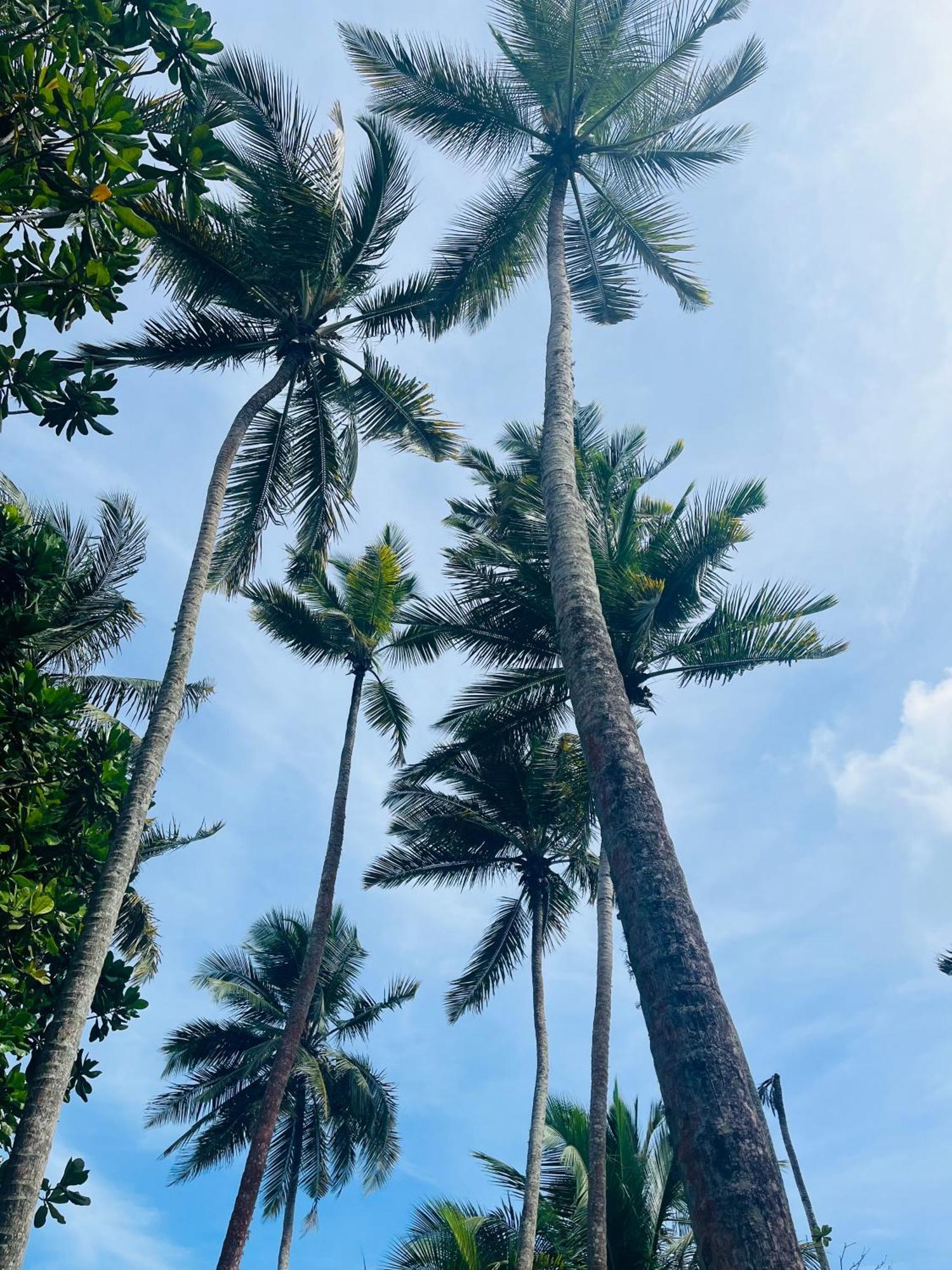 Esperanza Beach Mawella Hotel Tangalle Exterior photo